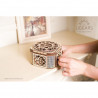 La caja con el secreto (Treasure box)