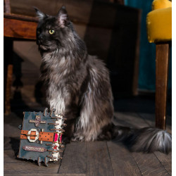 UA Juguetes Shop – UGEARS The Monster Book of Monsters – Harry Potter™ 3D Wooden Mechanical Puzzle